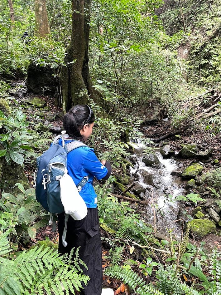 April looking at a forest stream on a hiking trail